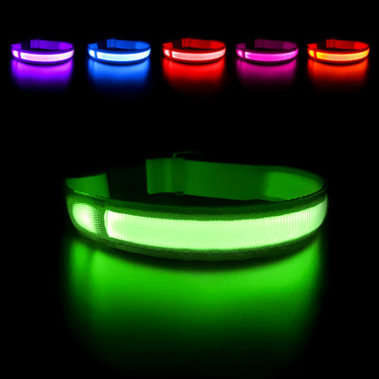 Luminous Waterproof LED Dog Collar with Flashing Safety Lights