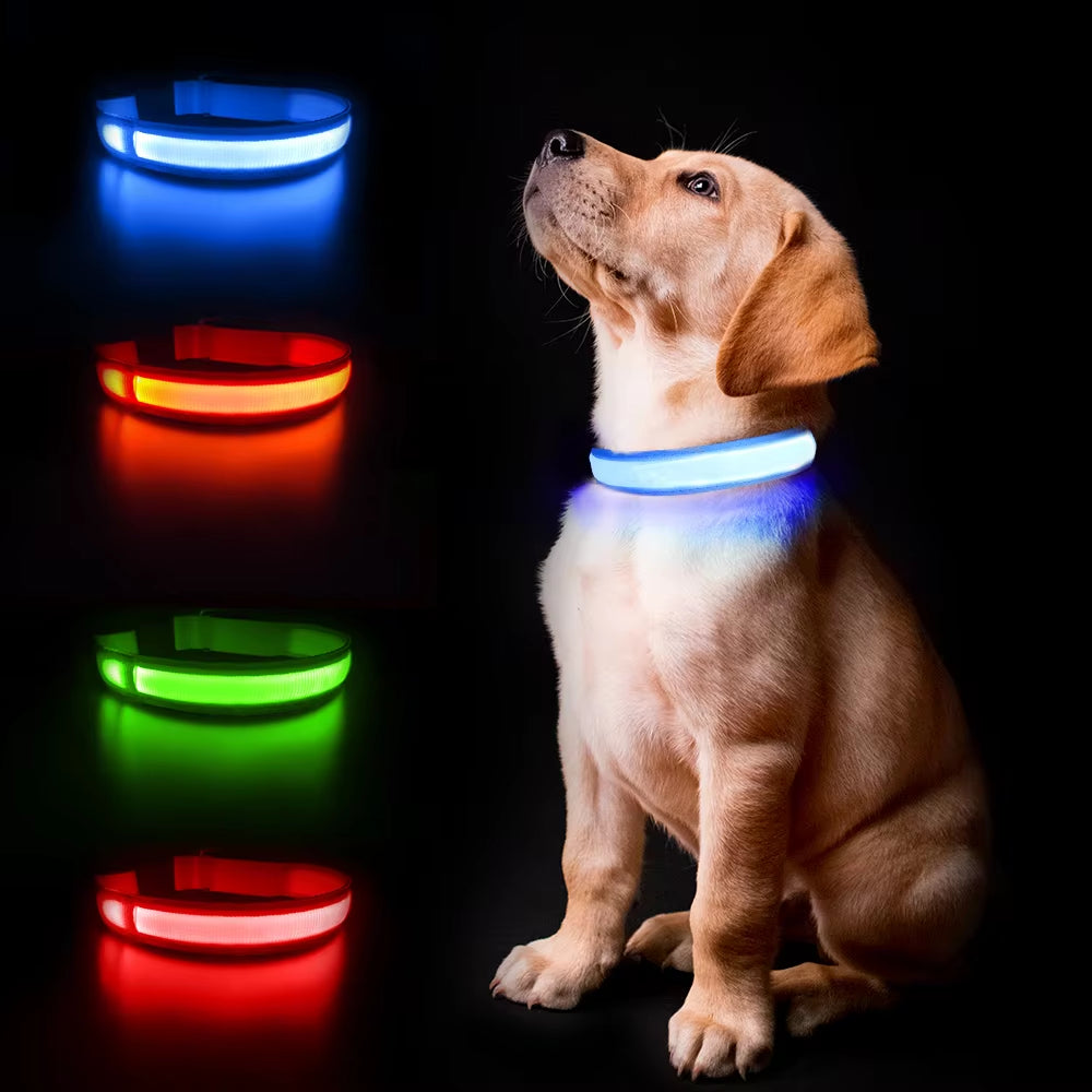 Luminous Waterproof LED Dog Collar with Flashing Safety Lights