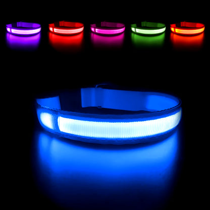 Luminous Waterproof LED Dog Collar with Flashing Safety Lights