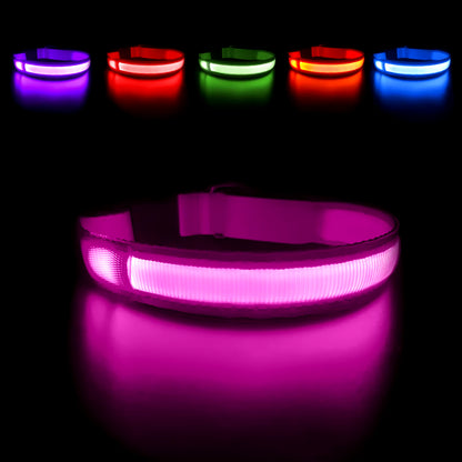 Luminous Waterproof LED Dog Collar with Flashing Safety Lights