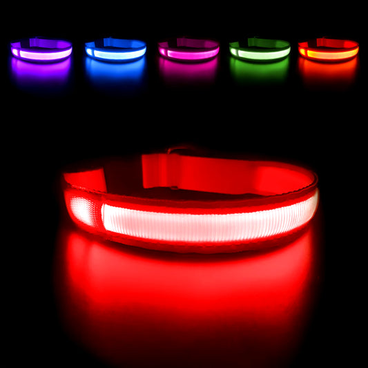 Luminous Waterproof LED Dog Collar with Flashing Safety Lights