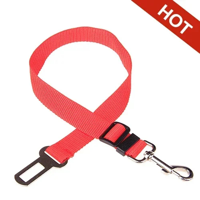 Adjustable Pet Safety Seat Belt and Harness for Dogs and Cats with Clip and Traction Lead Accessories