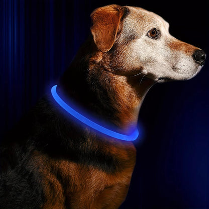 Rechargeable LED Dog Collar with Anti-Lost Technology