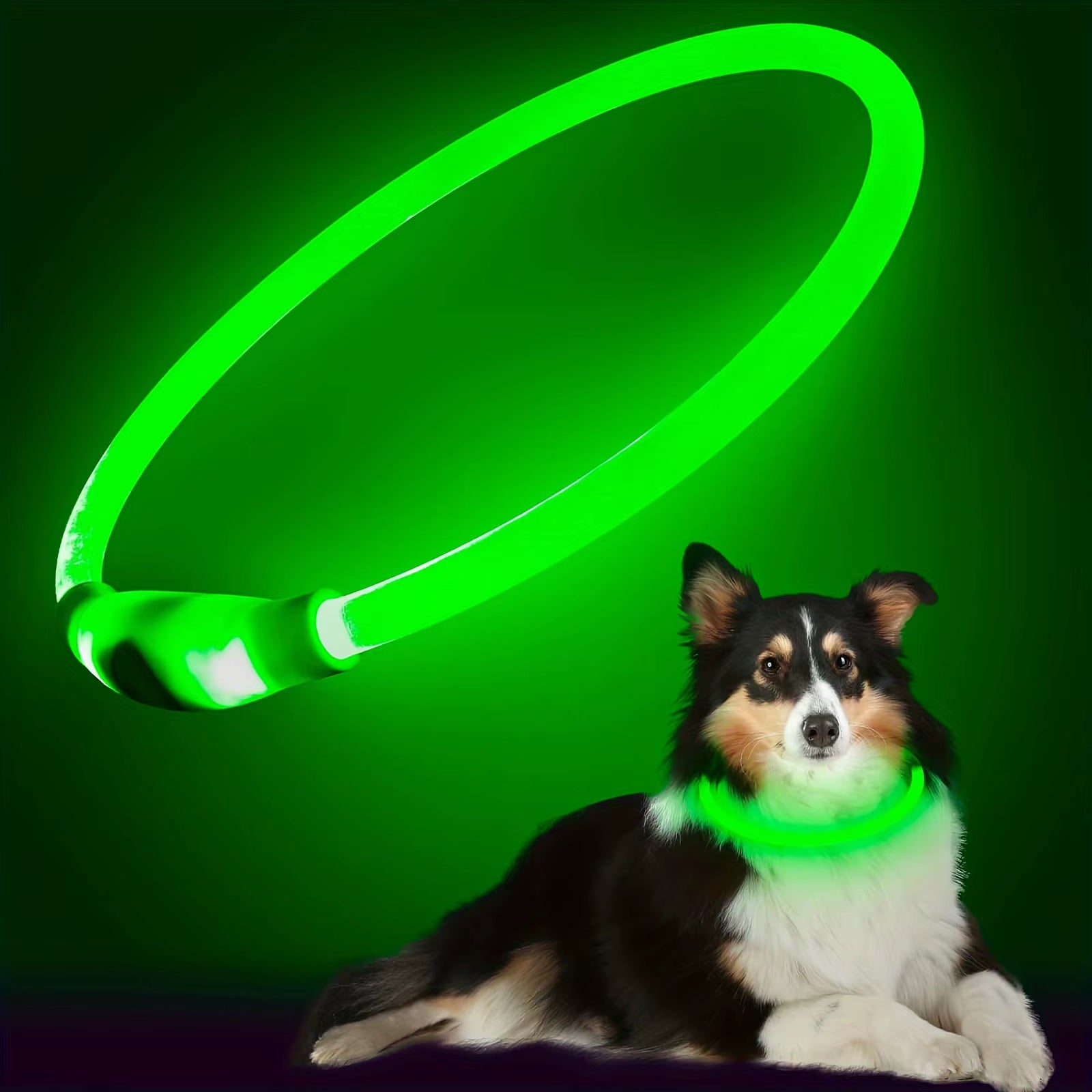Rechargeable LED Dog Collar with Anti-Lost Technology