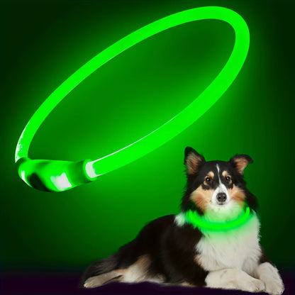 Rechargeable LED Dog Collar with Anti-Lost Technology