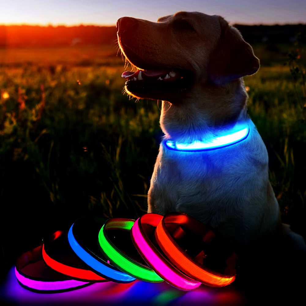 Luminous Waterproof LED Dog Collar with Flashing Safety Lights