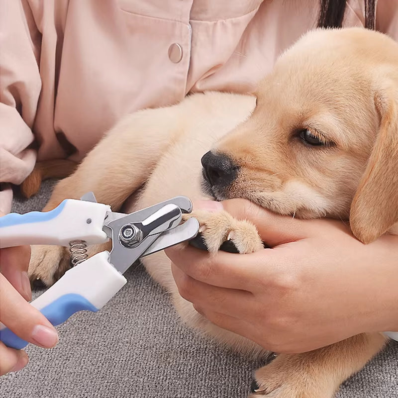 Professional Pet Nail Clipper Scissors for Dogs and Cats - Premium Grooming Tools for Animal Nail Care