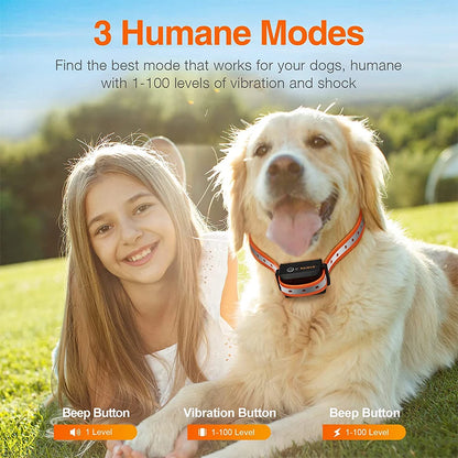 1000M Rechargeable Electric Dog Training Collar with Remote Control for Enhanced Bark Management and Behavioral Correction